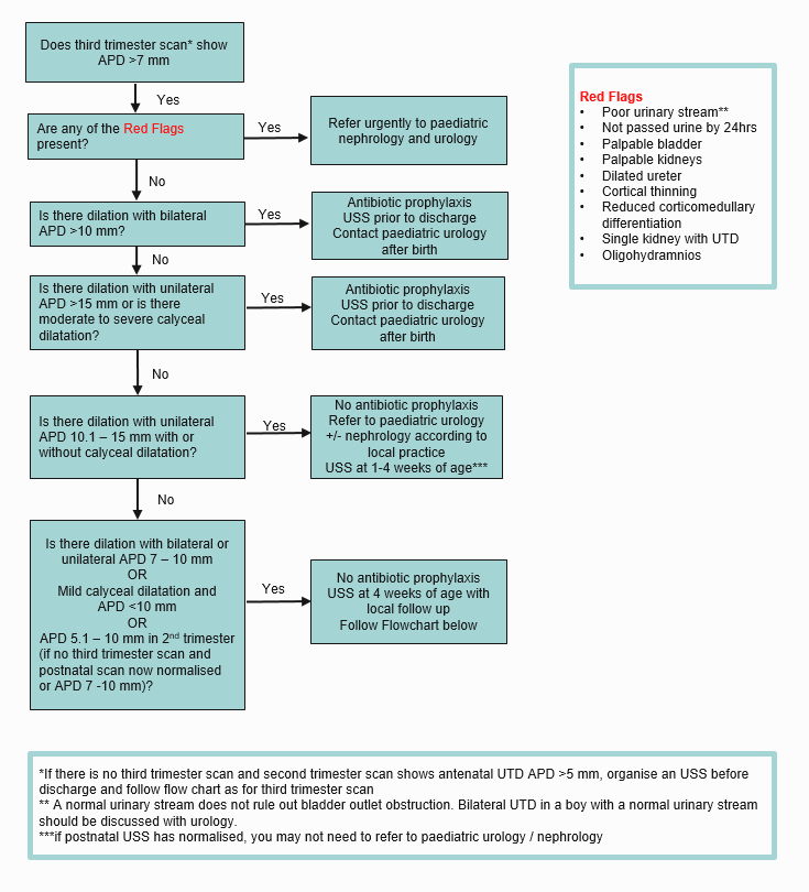 Management of an infant with UTD diagnosed antenatally